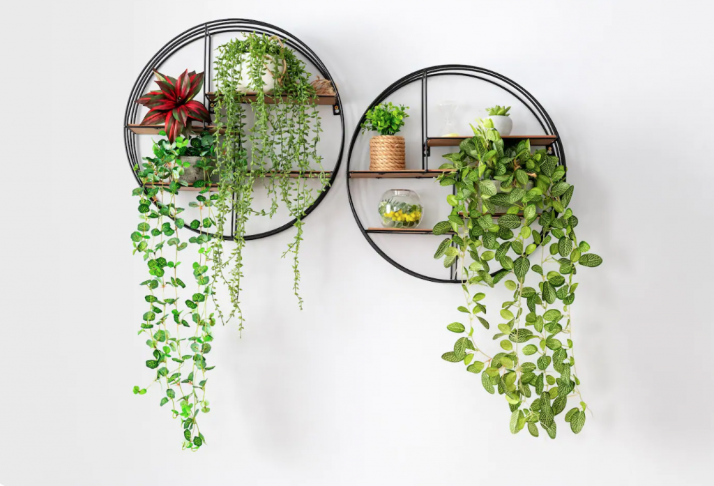 Decorar